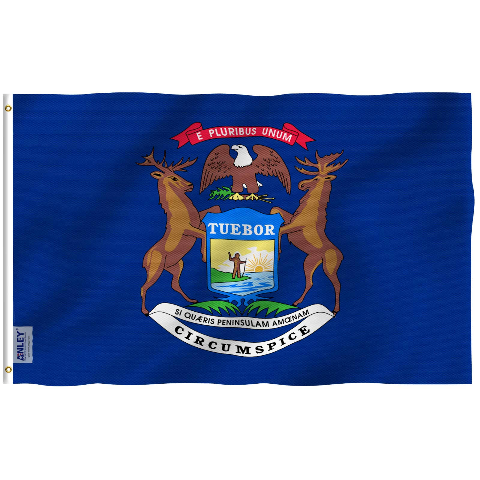Anley Fly Breeze 5-ft W x 3-ft H State Michigan State Flag