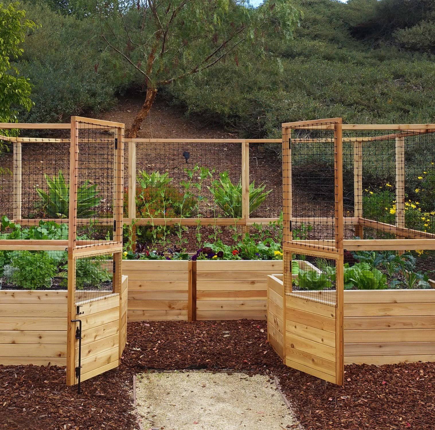 Deer Proof Raised Garden Bed | 12x8 12�G8 by Outdoor Living Today