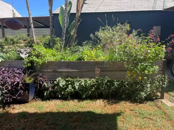 Jardinière surélevée Ankerfield à arrosage automatique et teintée écologiquement