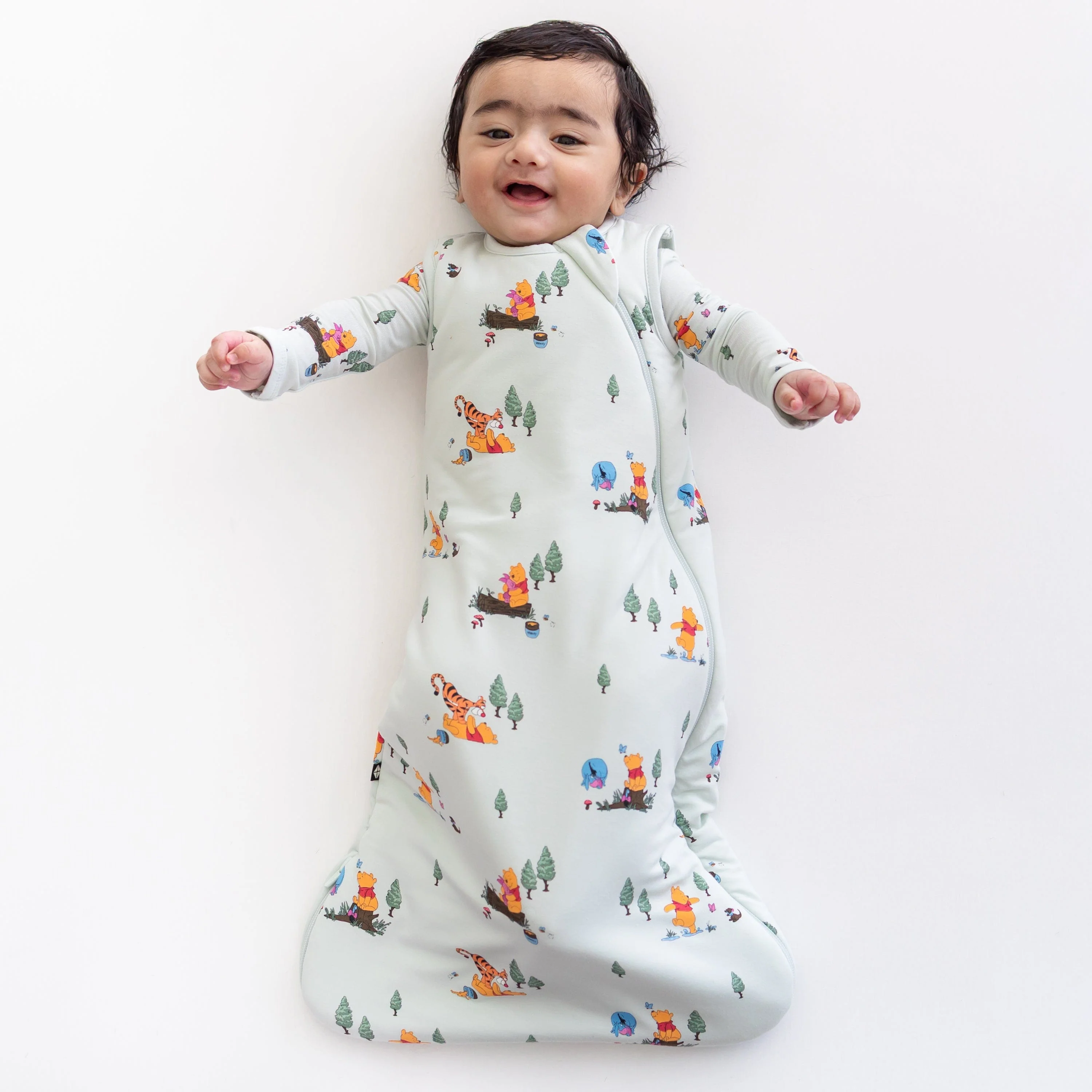 Sleep Bag in Winnie the Pooh Hundred Acre Wood 1.0