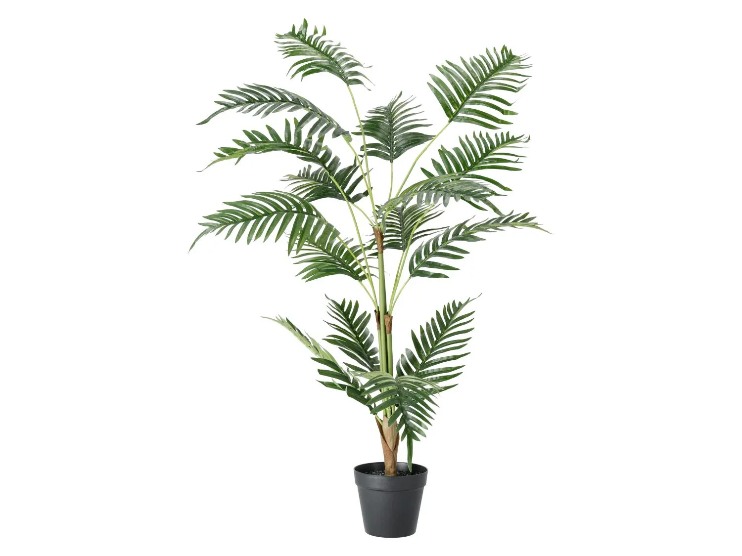 LIVARNO Plante artificielle