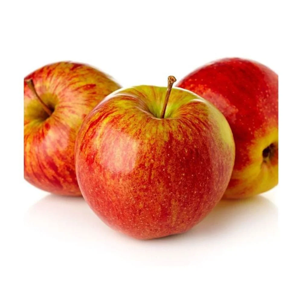 Expert Gardener 3 - 4 Ft. Tall Melrosé Apple Live Tree in 7 - Gallon Grower Pot