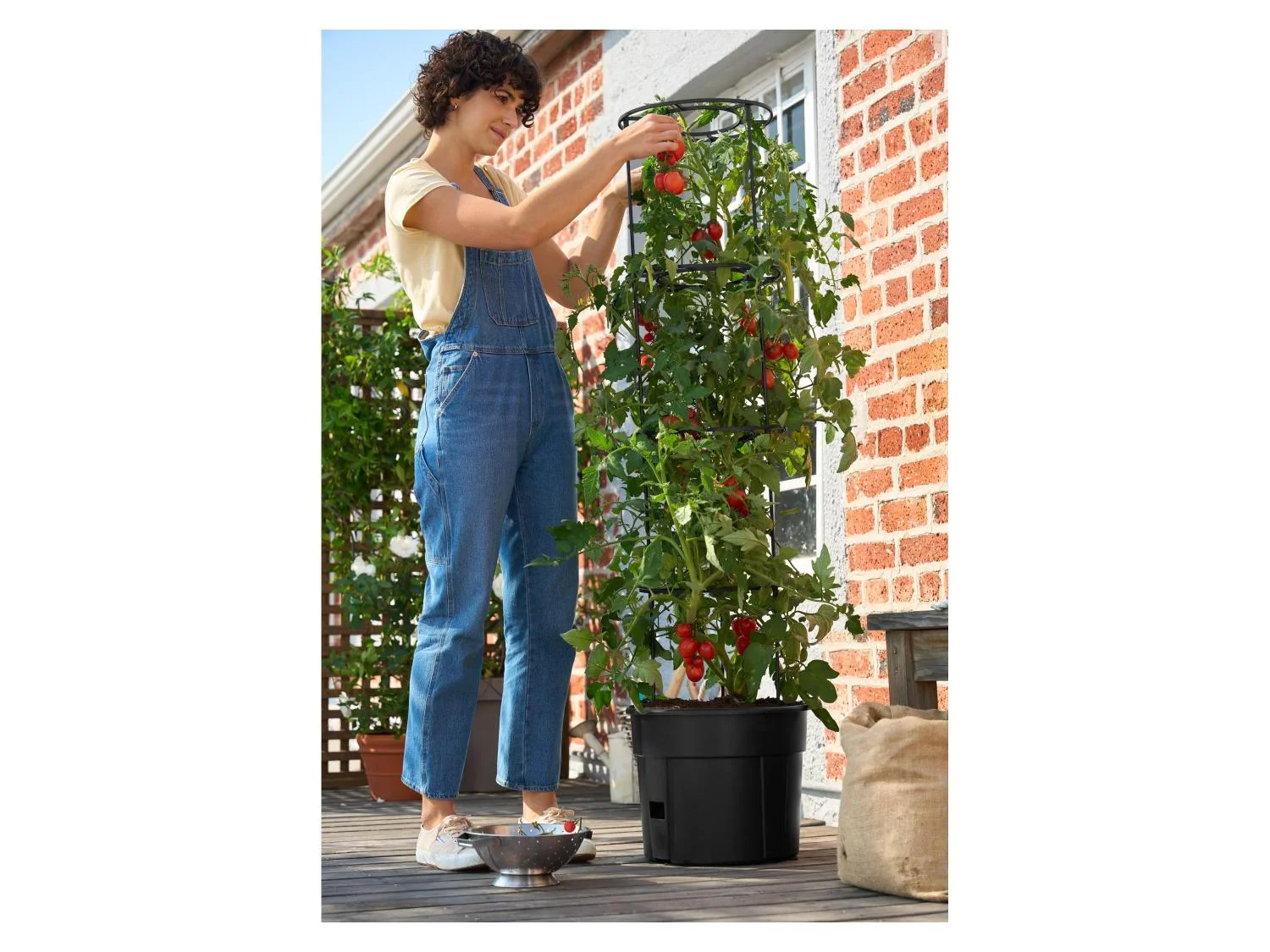 PARKSIDE Pot pour plants de tomates, 40 cm