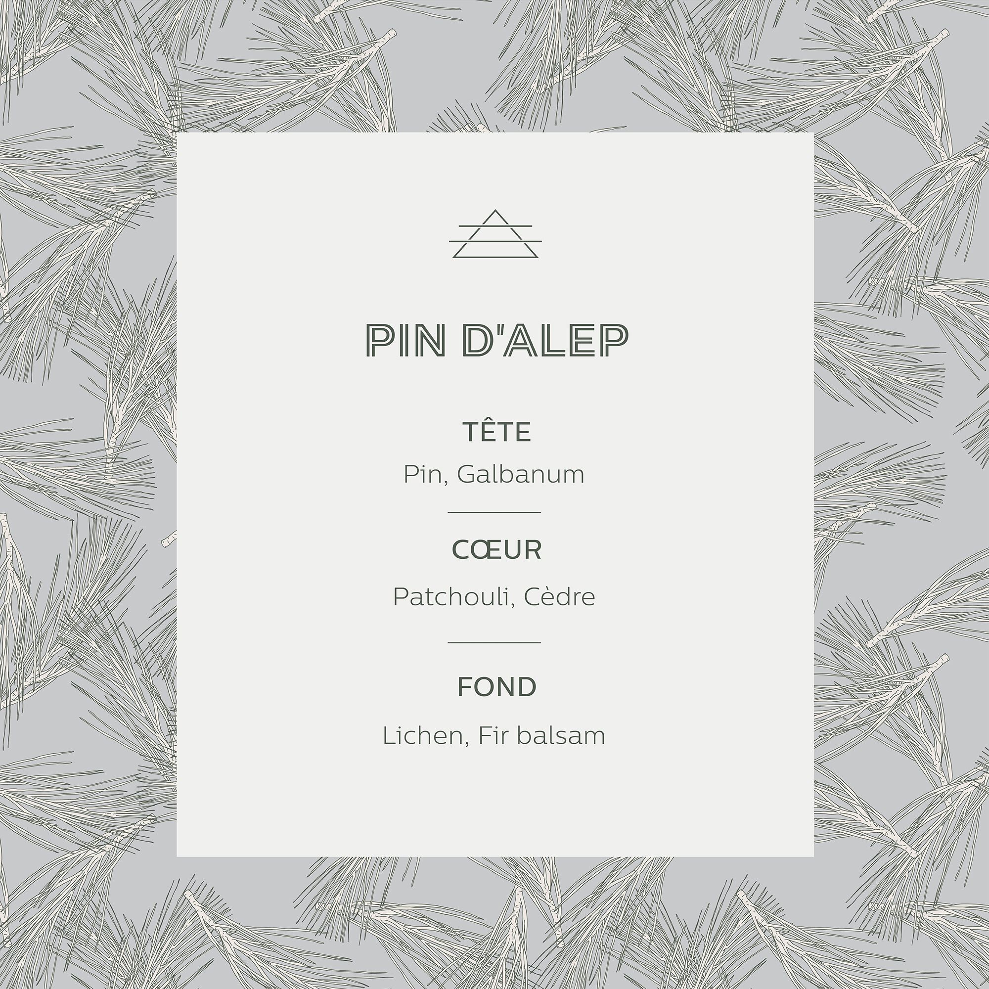 SIGNATURE - Bougie parfumée senteur Pin d'Alep 160g