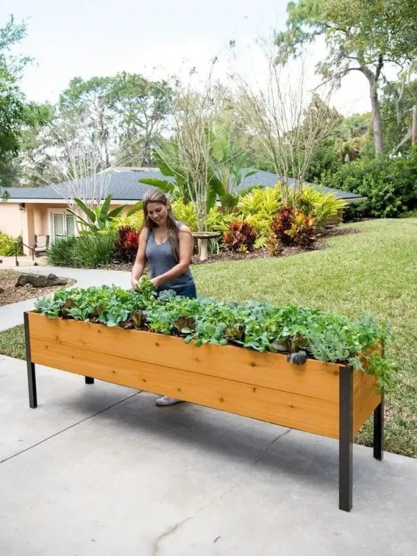 Jardinière surélevée Ankerfield à arrosage automatique et teintée écologiquement