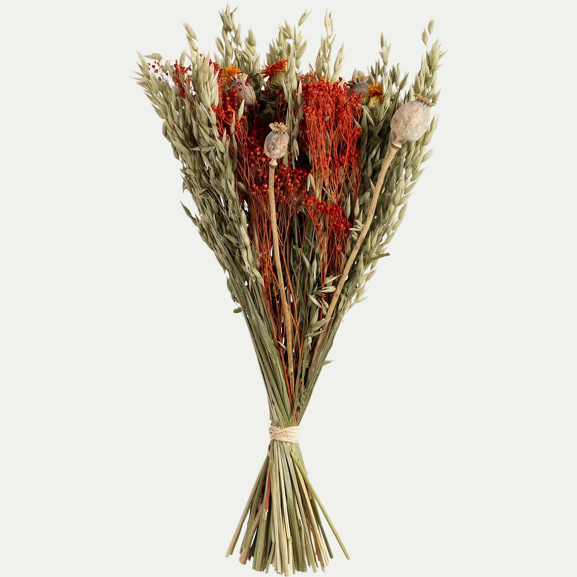 FLORALIE - Bouquet de fleurs séchées h55cm - orange