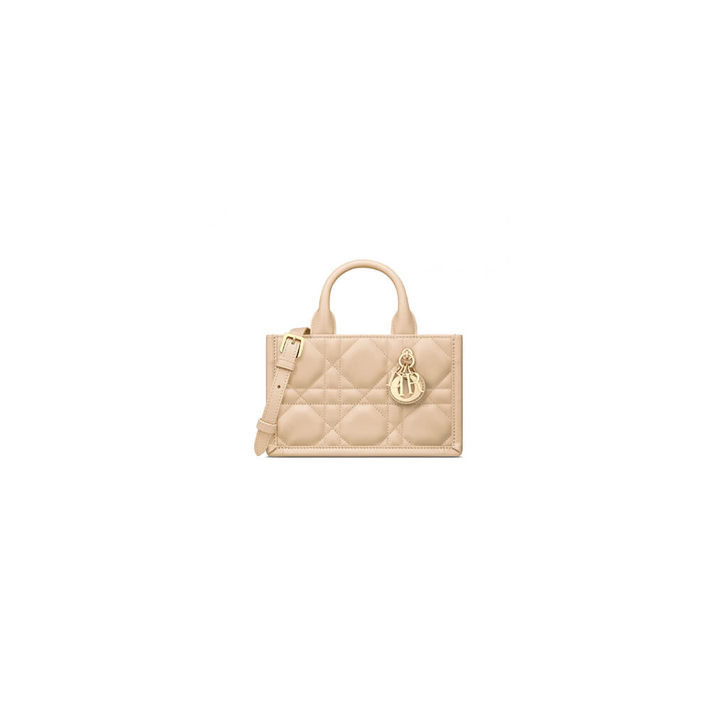 Mini Dior Book Tote