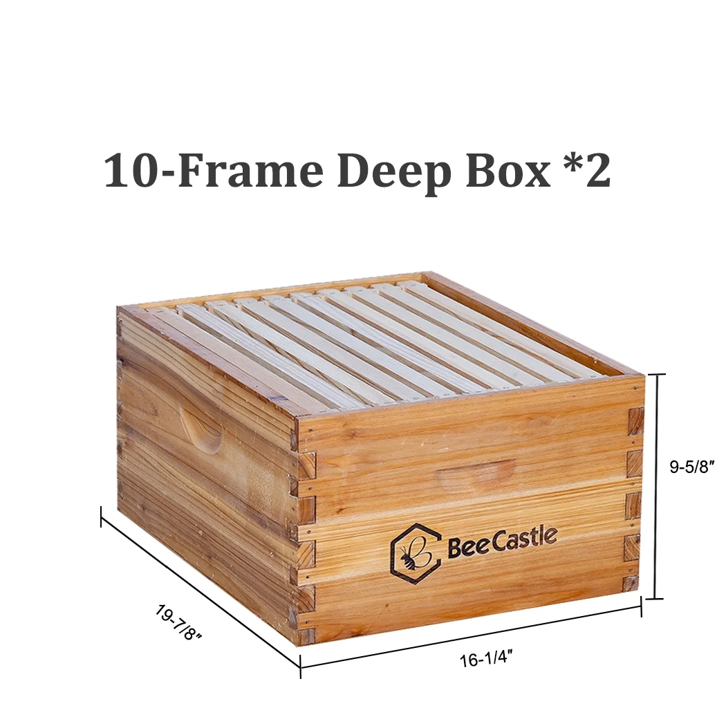 Bee Castle 10 - Frame Beeswaxed Complete Bee Hives Kit with 2 Deep Box and 1 Medium Box