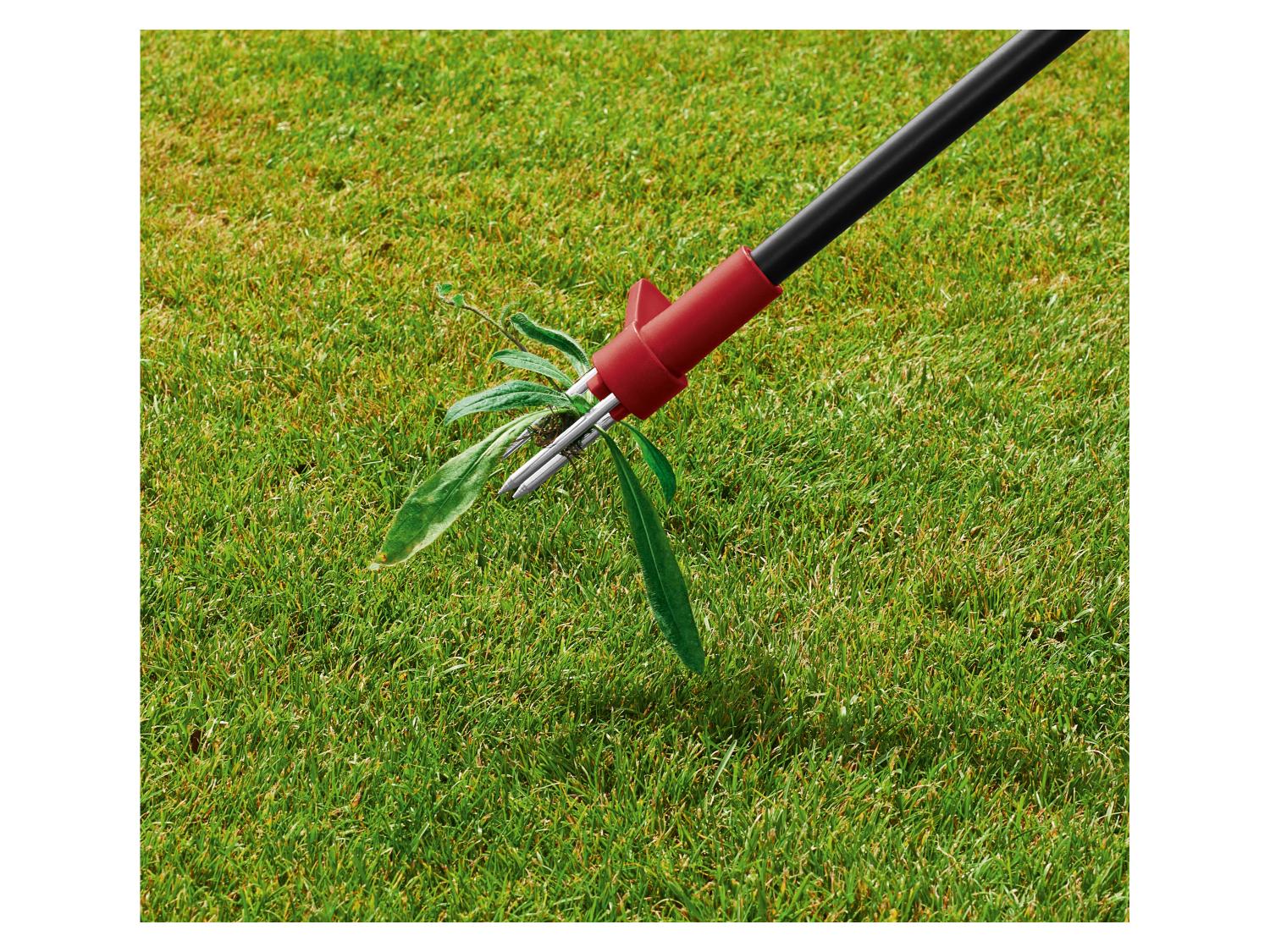 PARKSIDE Set de brosses  mauvaises herbes ou Dsherbeur  main