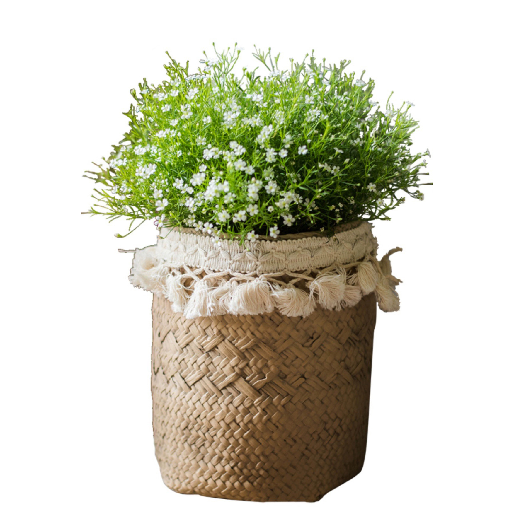Garden Decoration Succulent Plant Pot Vintage Style Home  Blacony Decor Cement Pots for Flower