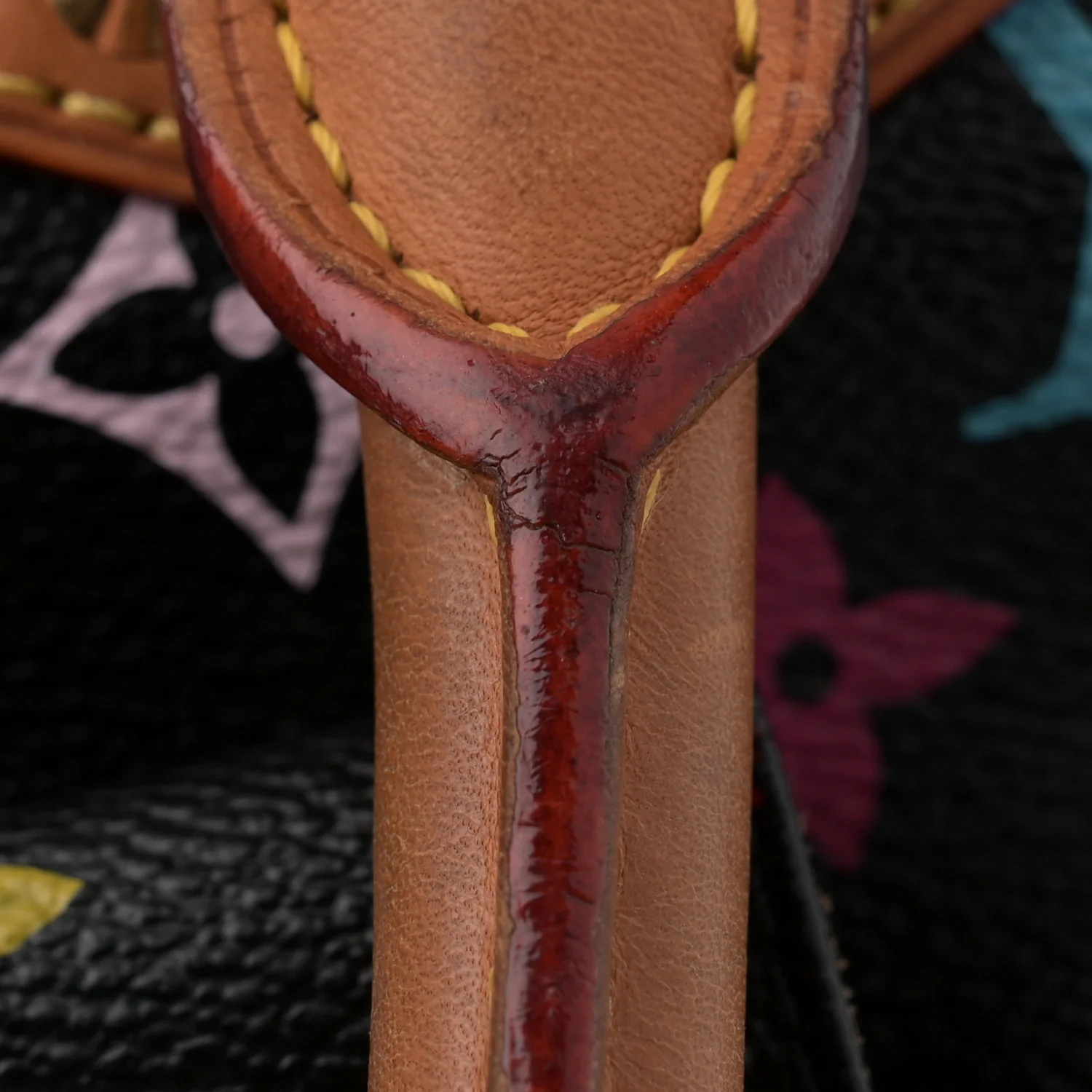 Monogram Multicolor Alma GM Black