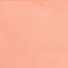 Pochette latérale Lago de Los Andes