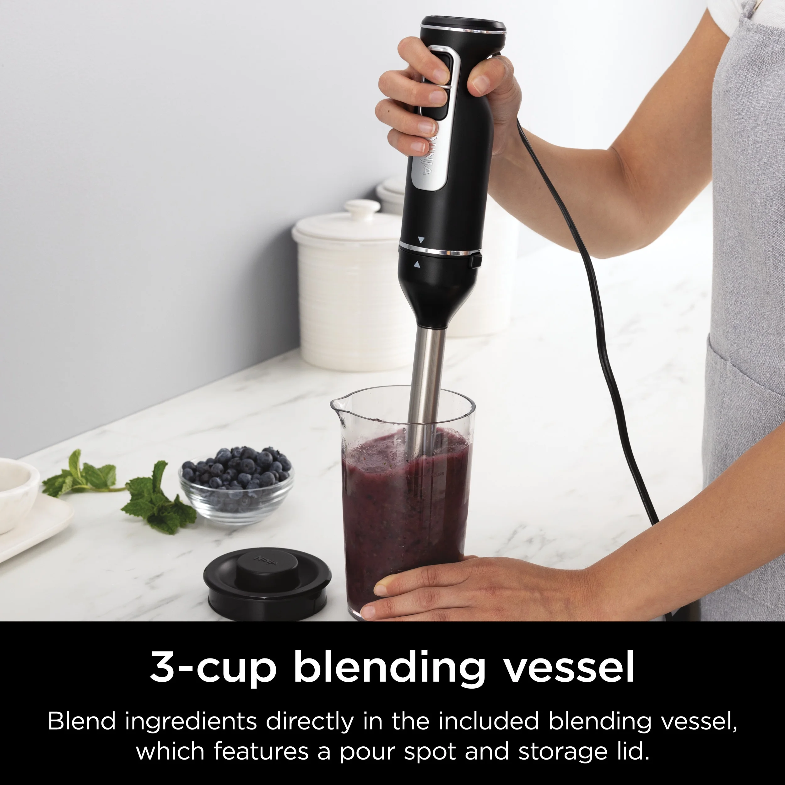Ninja 750W Blender, Black