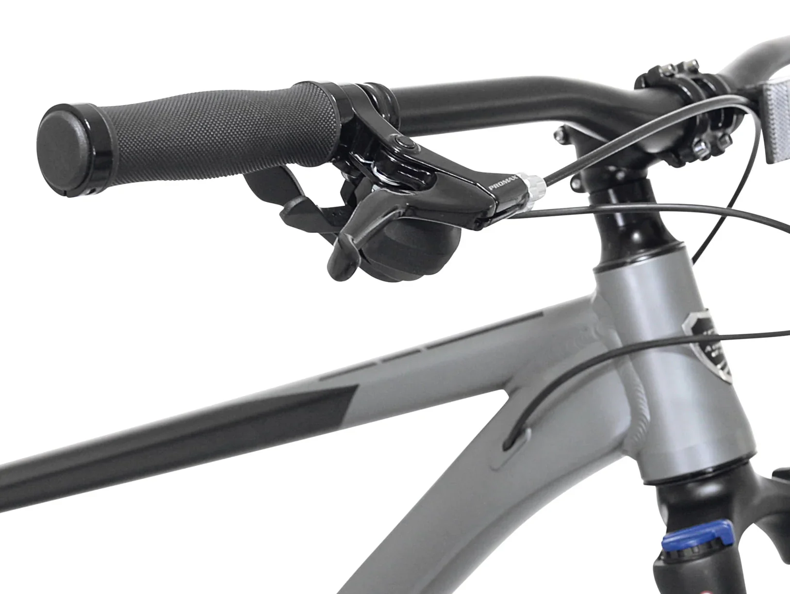 Kent Bicycles 29 Men's Trouvaille Mountain Bike Large, Black and Taupe