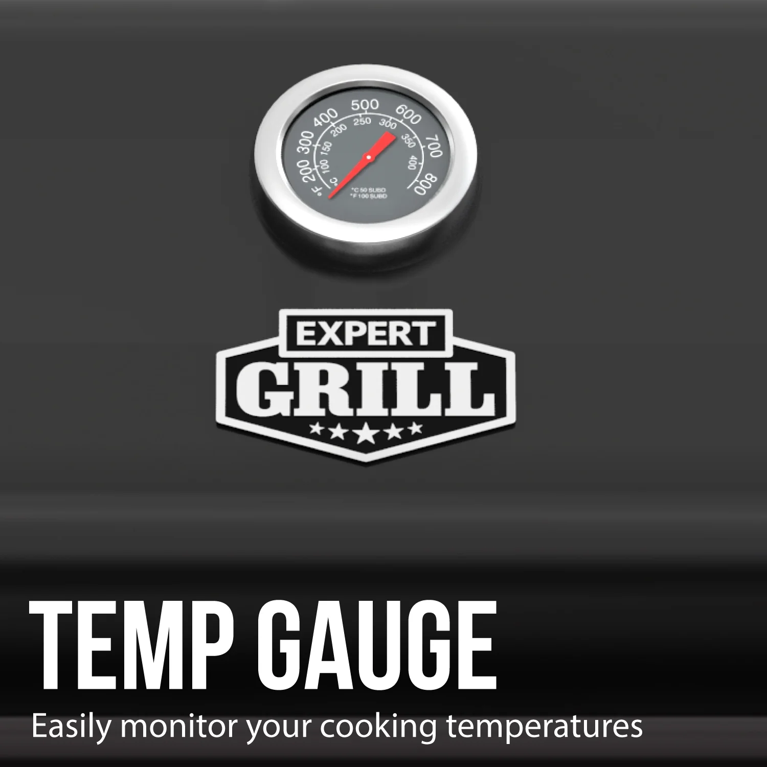 Expert Grill 5 Burner Propane Gas Grill with Side Burner