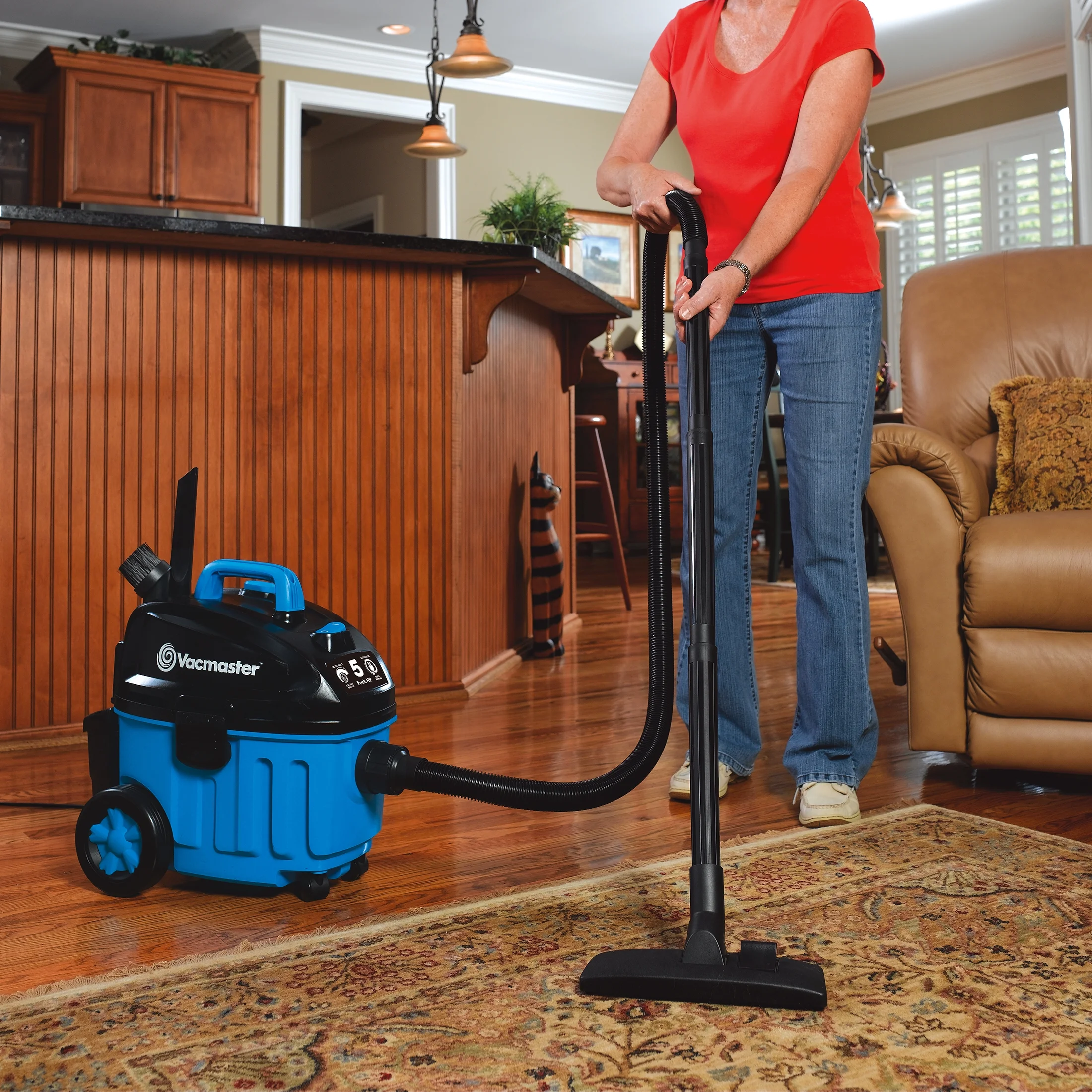Vacmaster 4 Gallon 5 Peak HP Household Wet/Dry Vacuum, VF409