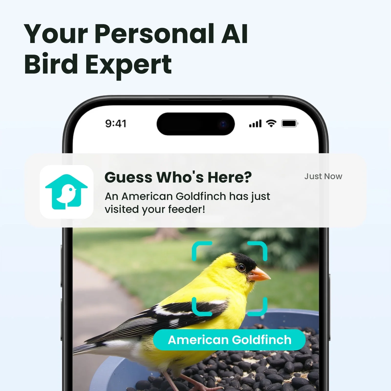 Smart Bird Feeder with Camera, 60FPS Smooth Video, AI Bird Identification Instant Alerts, Auto Capture, Perfect Gift for Bird Lovers(WMTNI-0152) - Image 2