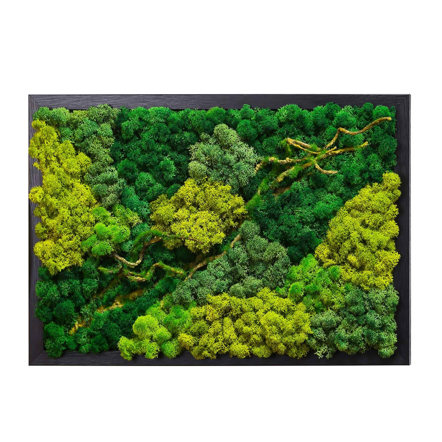 LVZHIHUAN Moss Wall Decor Real Preserved Moss No Maintenance Required Eco Natural Green Wall Art Moss Frame Living Plants Vertical Garden 19.7
