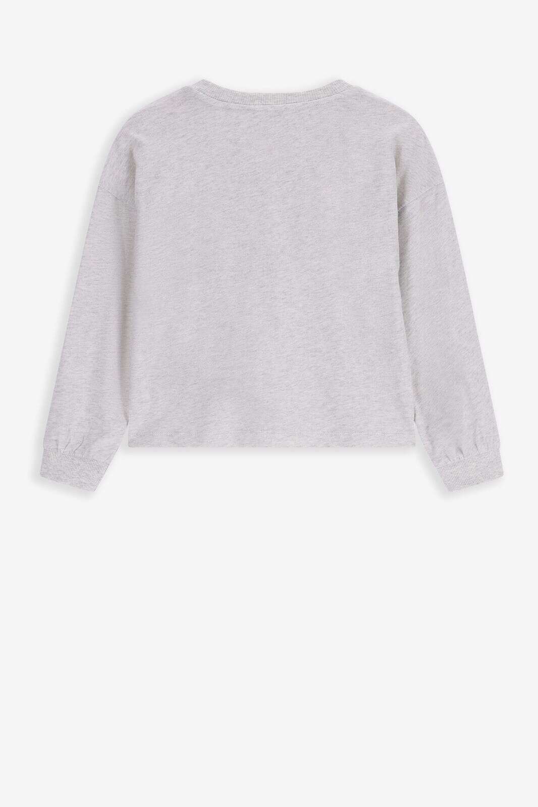 Grijze longsleeve met print