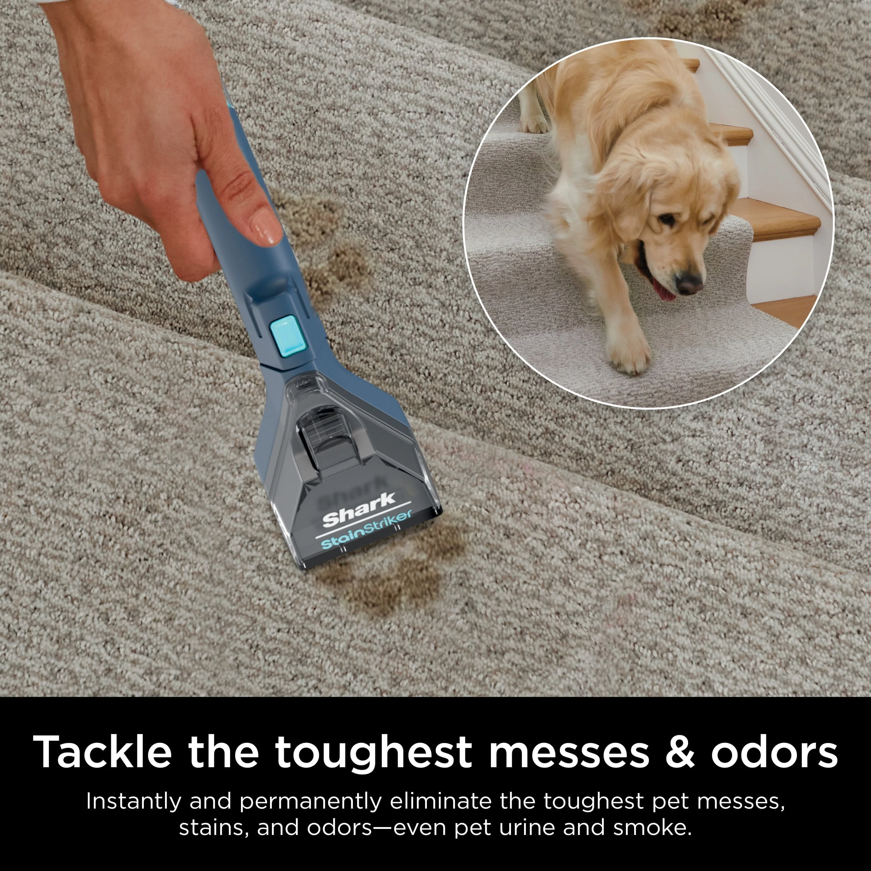 Shark CarpetXpert with StainStriker, Upright Carpet, Area Rug Upholstery Cleaner for Pets, Built in Spot Stain Eliminator, Deep Cleaning Tough Stain Removal, Carpet Shampooer, Navy, New,EX200 Image 6