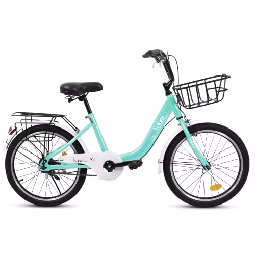 20 Inch Mountain Bicycle with Coaster Brake & V-Brake, 1-Speed, Chain Guard & Rear Rack, Lightweight Steel Frame (Pink, Green, Purple, White)