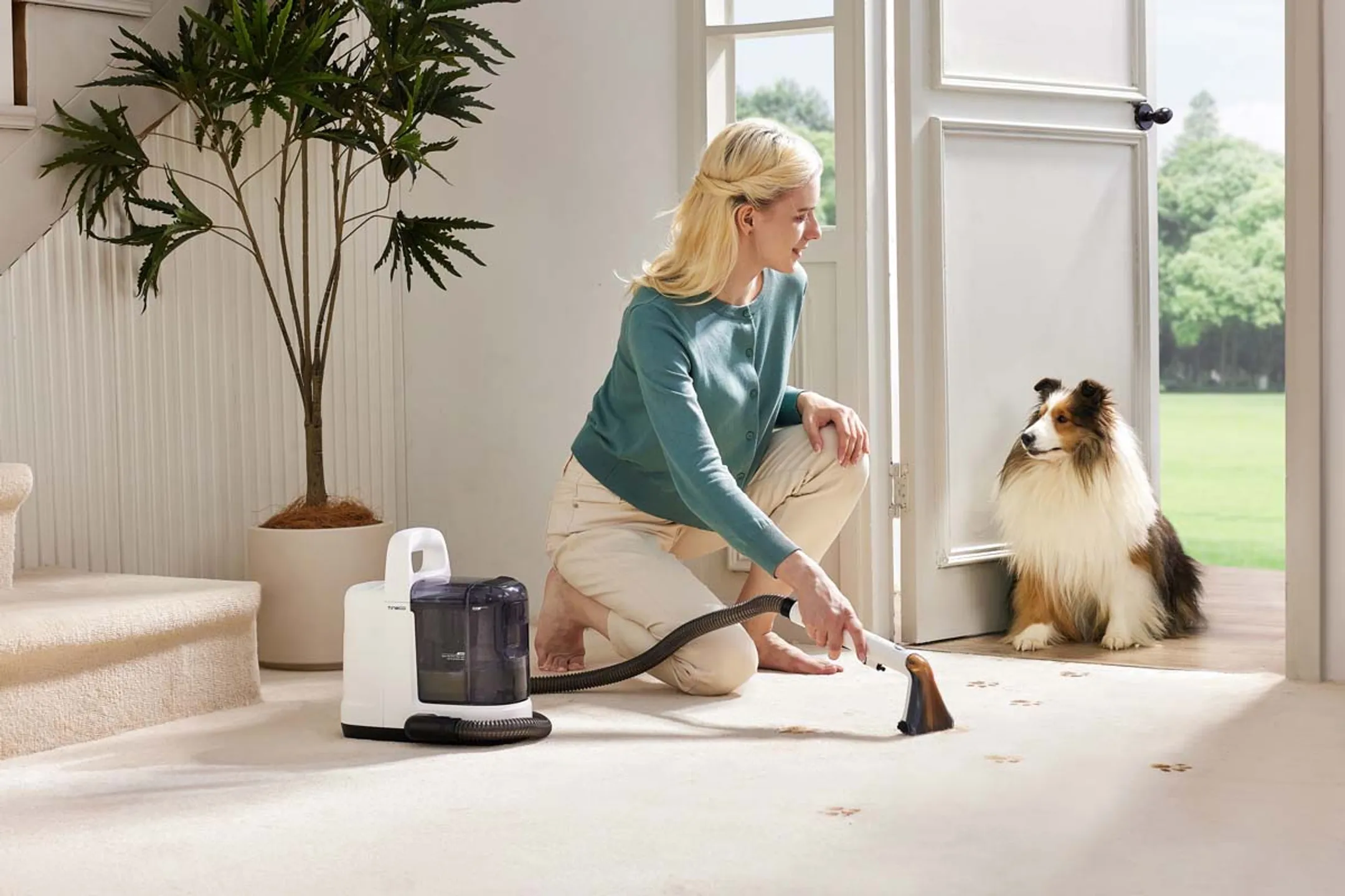 TINECO Tapijtreiniger iCarpet Spot