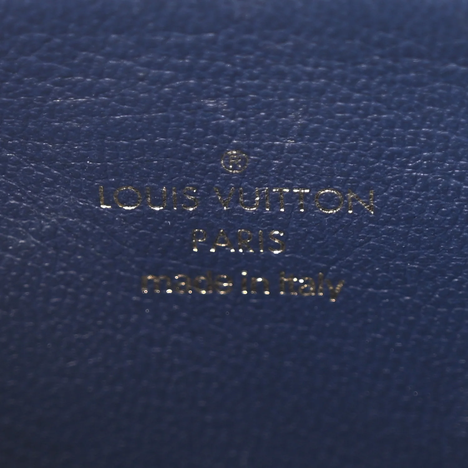 Lambskin Embossed Monogram Coussin PM Camel