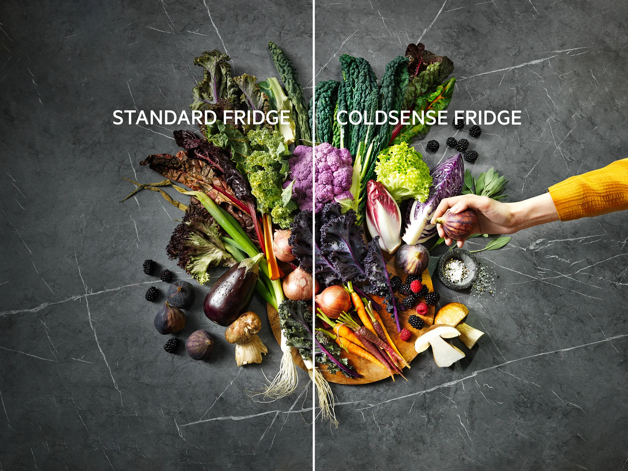 AEG Koelkast met diepvries RDS424E1AW LowFrost