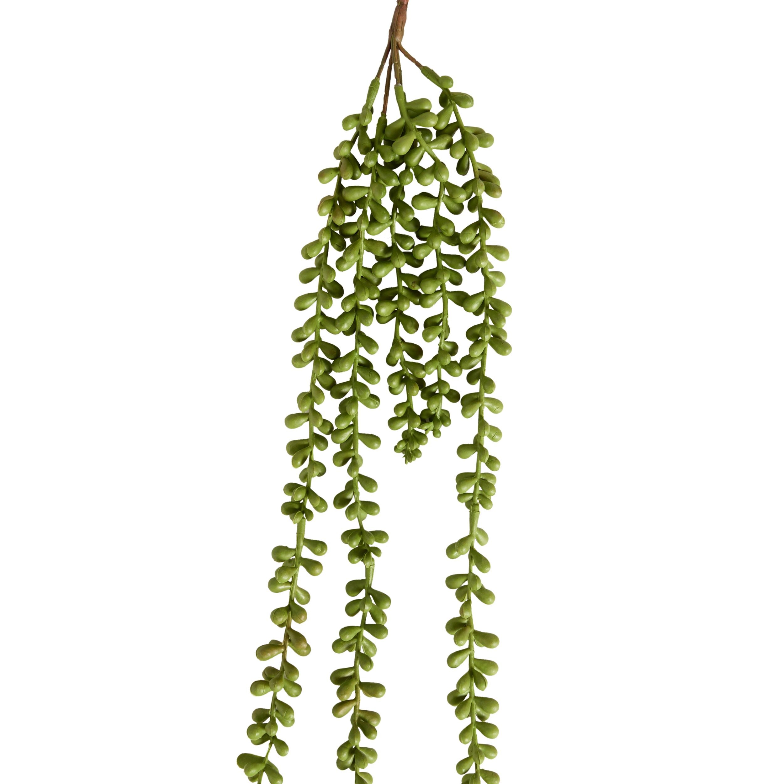 Bloomery Cascading Succulent Stem 71cm