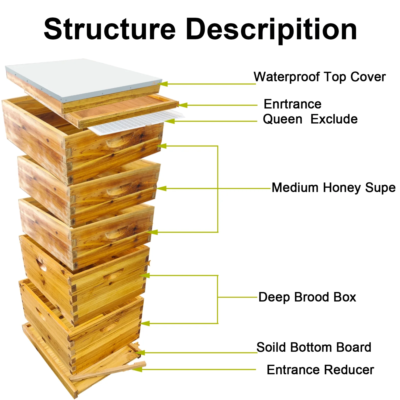 5-Layer Bee Hive for Beekeeping 2 Deep 3 Medium Boxes with Beeswax Coating, Ventilated Metal Roof (Frames Sold Separately)(5-Layer) - Image 2