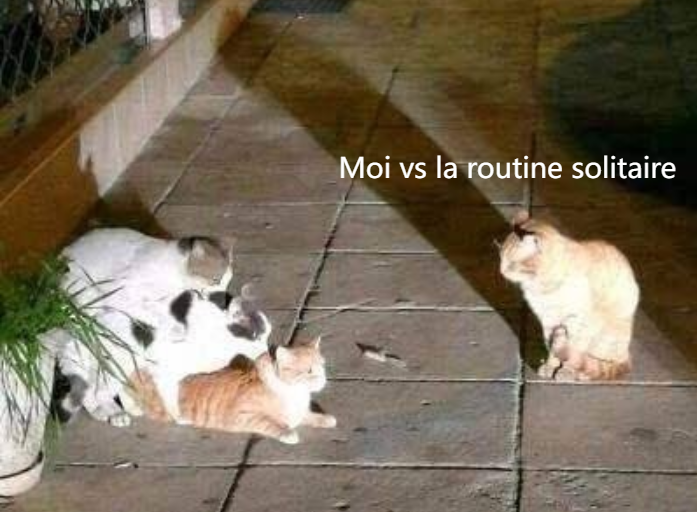 Moi vs la routine solitaire
