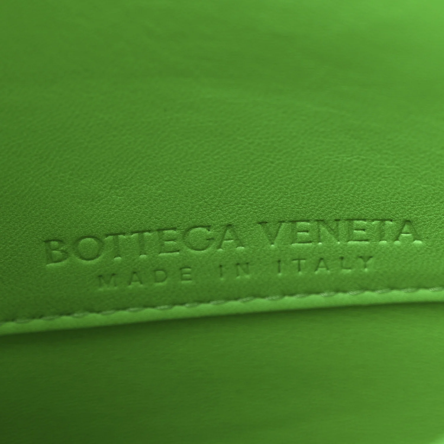 Calfskin Mount Envelope Bag Parakeet