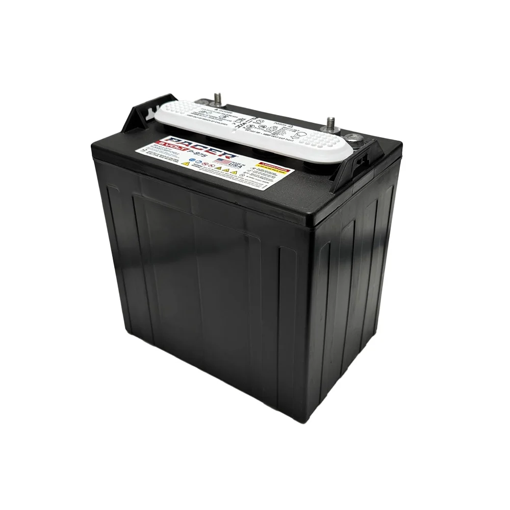 P-875 8 Volt 165Ah Deep Cycle Battery Replaces Trojan T-875 | Set of 6(6) - Image 2