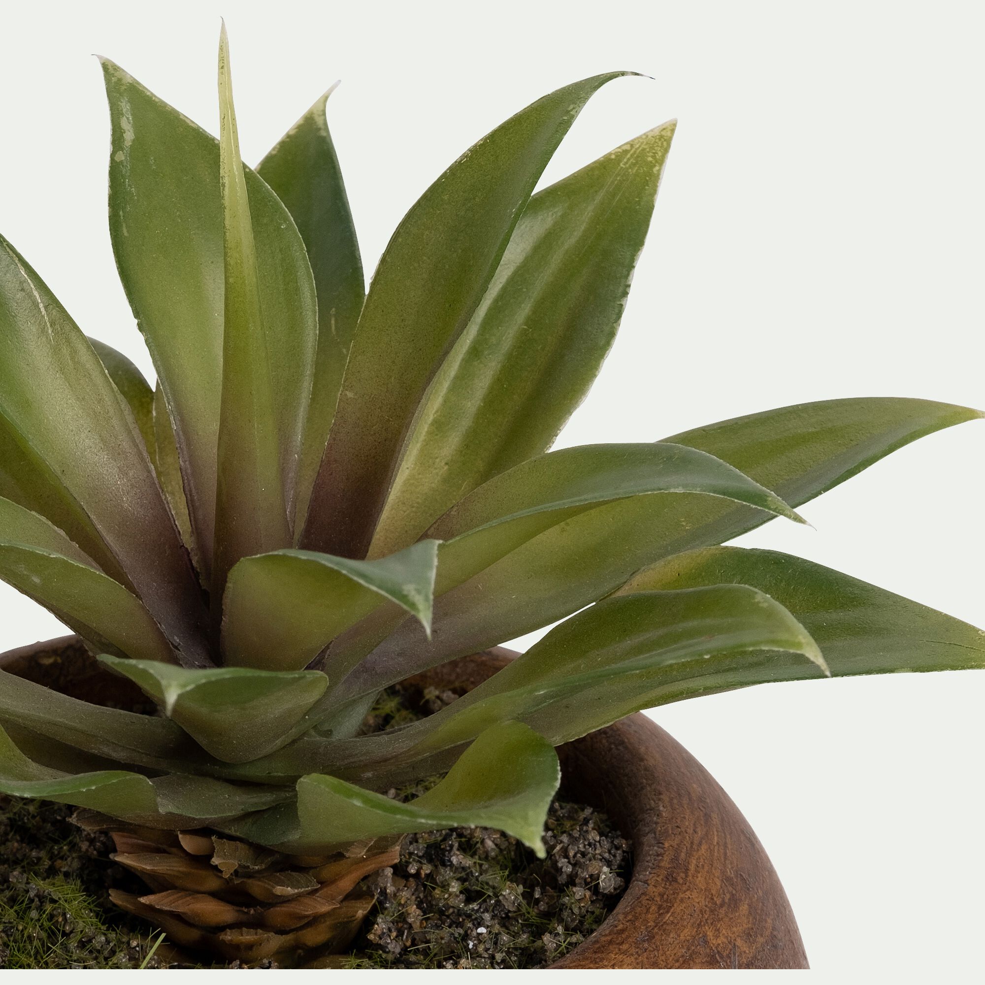 PEIROLO - Plante artificielle agave H15cm
