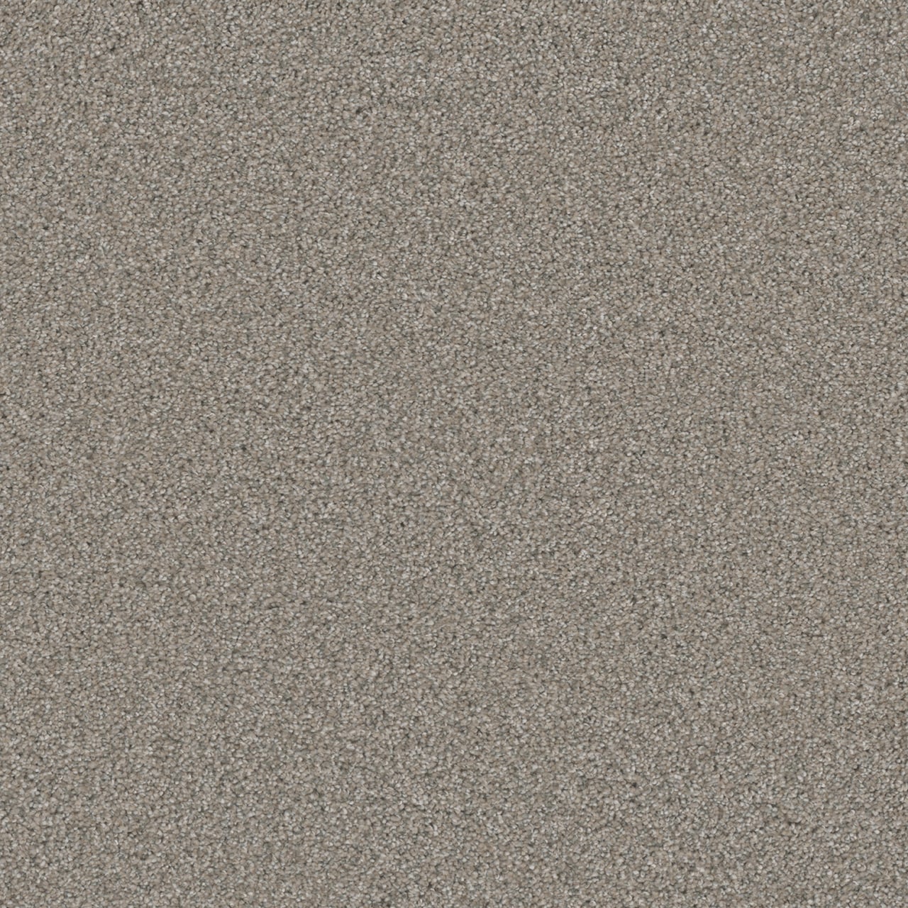 Royal Flush II High Card Tan 70-oz sq yard Solution-dyed polyester Textured Indoor Carpet