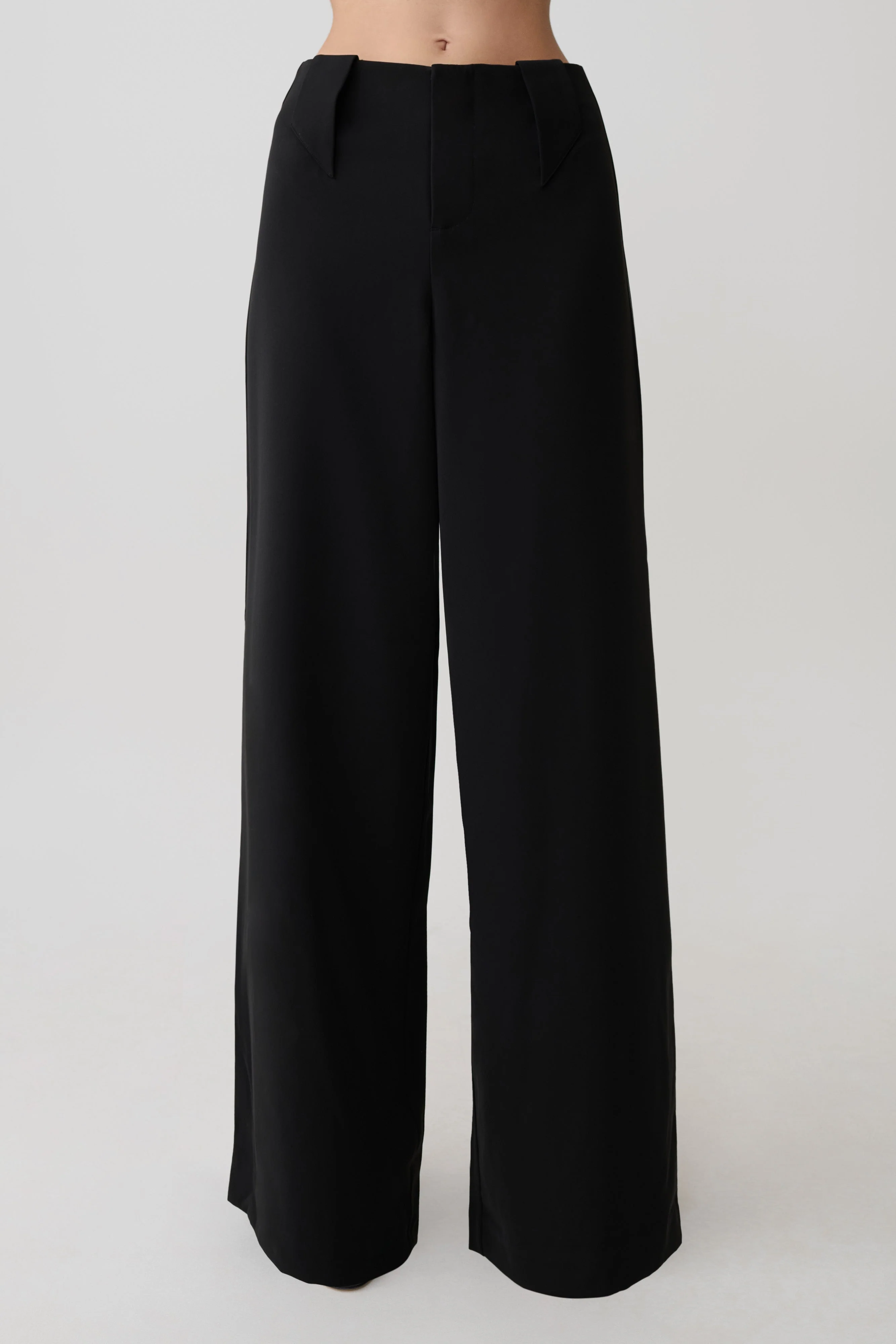Arlo Wide Leg Suiting Trouser - Black