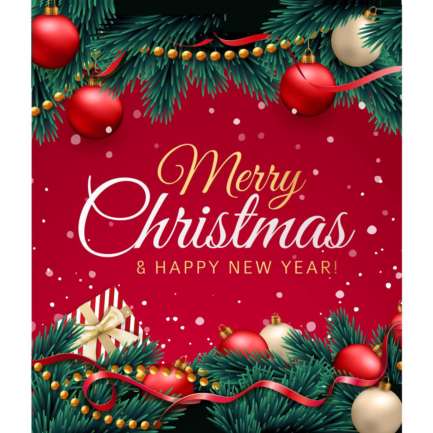 Celebrations 9088582 7 x 8 ft. Merry Christmas & Happy Year Garage Door Cover