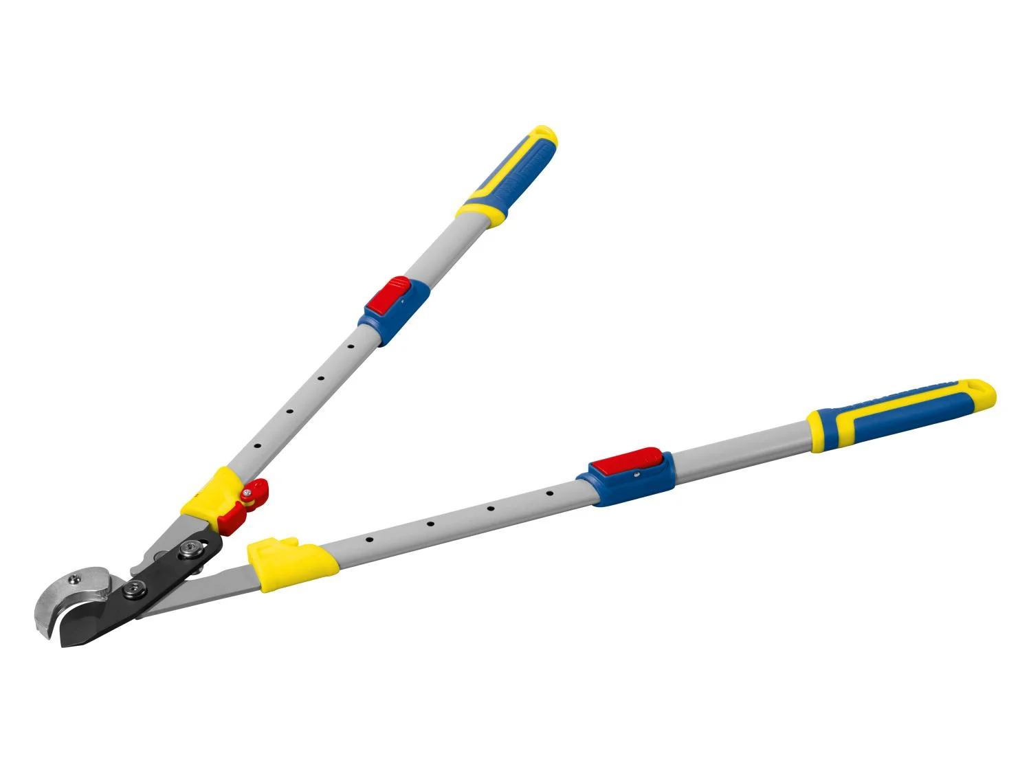 PARKSIDE Coupe-branches tlescopique dition LIDL