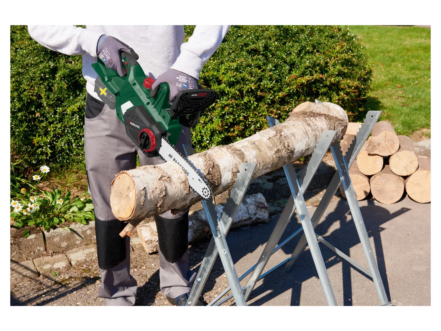 PARKSIDE Trononneuse sans fil PKSA 20-Li D4, guide 10, 20 V