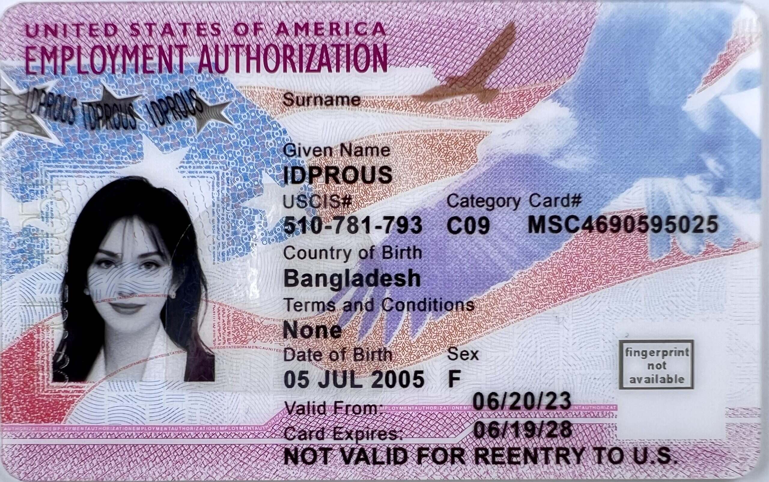 Employment Authorization Card