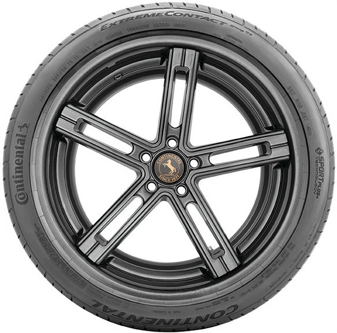 Continental Extremecontact DWS06 All-Season 225/40ZR18 92Y XL Passenger Tire