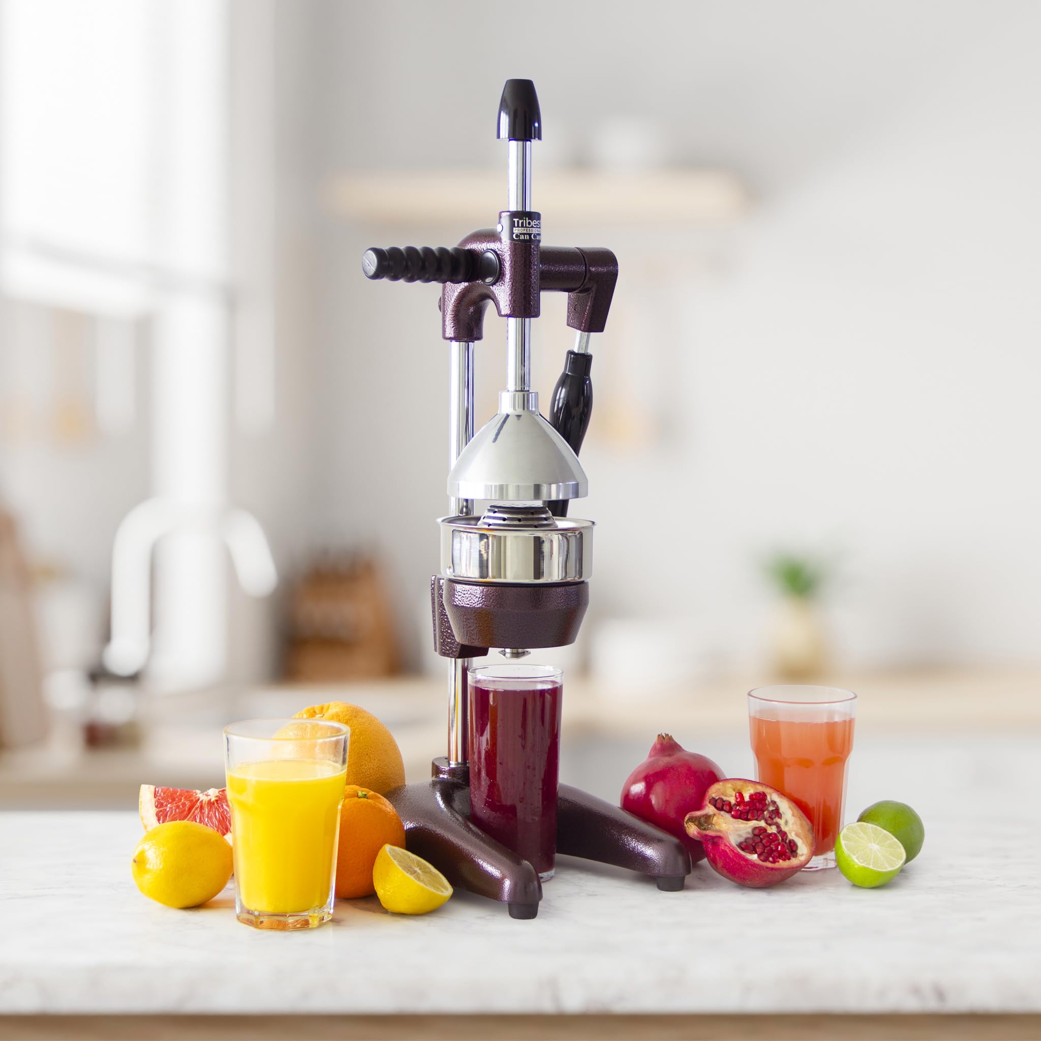 Pro MJP-105 XL Professional Manual Cold Press Juicer Machine for Pomegranates and Citrus (Purple)
