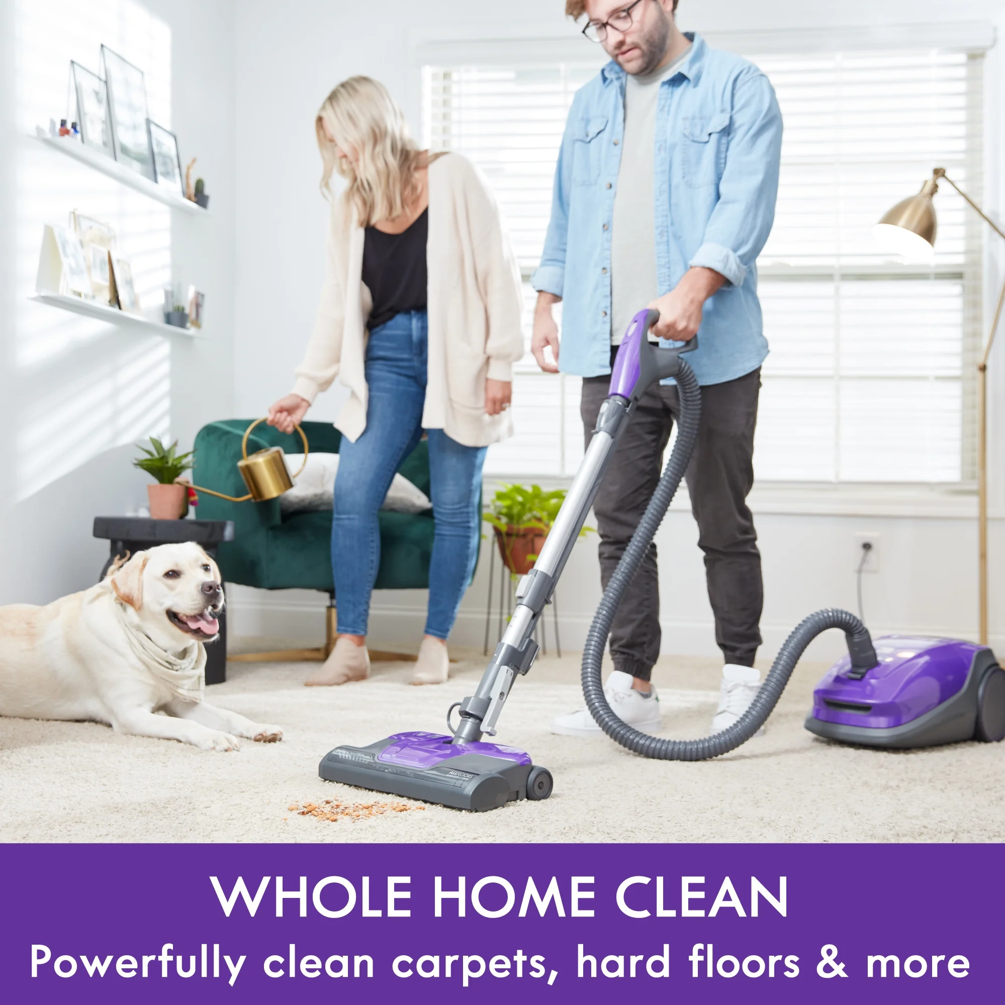 BC3002 200 Series Pet Friendly HEPA AllergenSeal Bagged Canister Vacuum Cleaner(Purple) Image 6