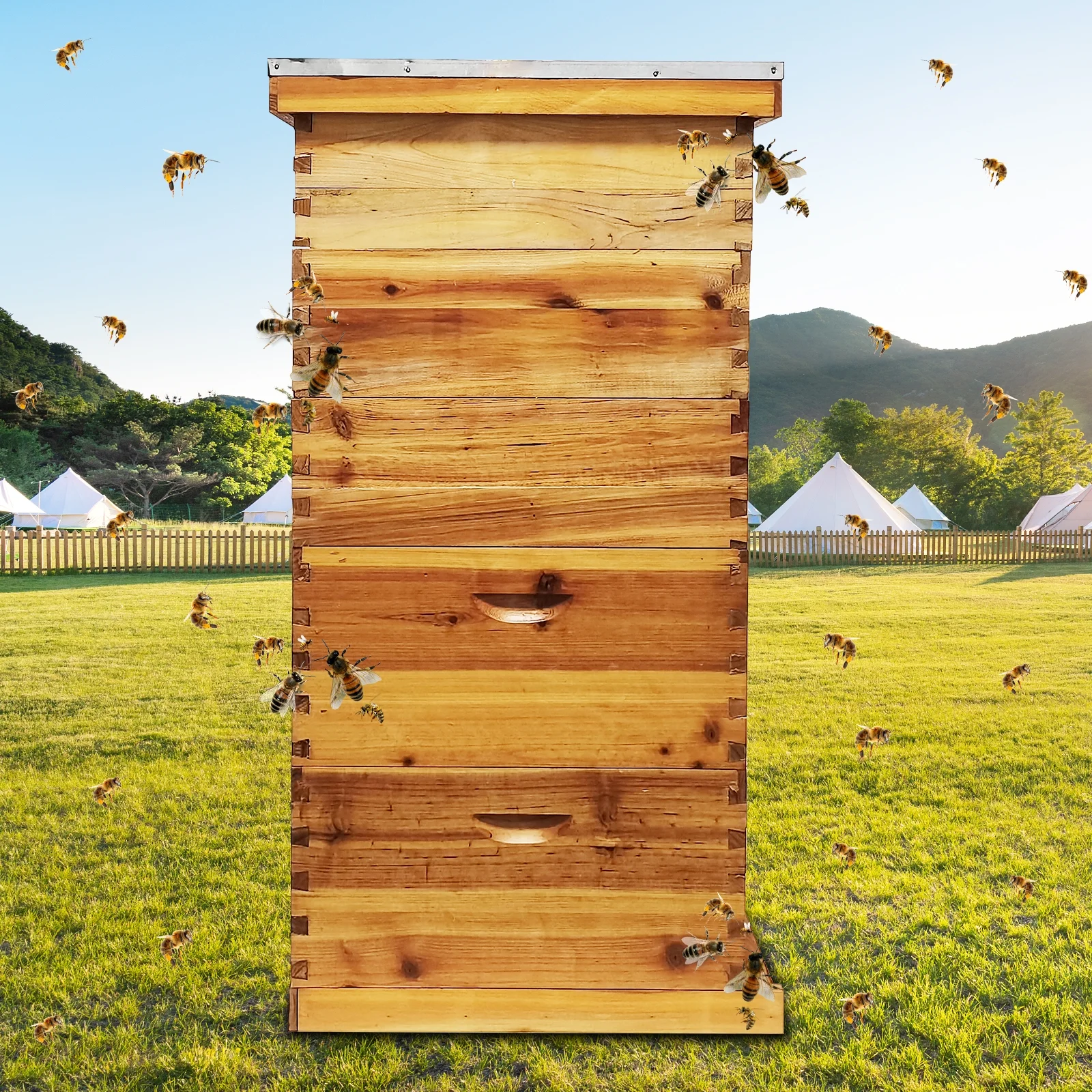 5-Layer Bee Hive for Beekeeping 2 Deep 3 Medium Boxes with Beeswax Coating, Ventilated Metal Roof (Frames Sold Separately)(5-Layer) - Image 4