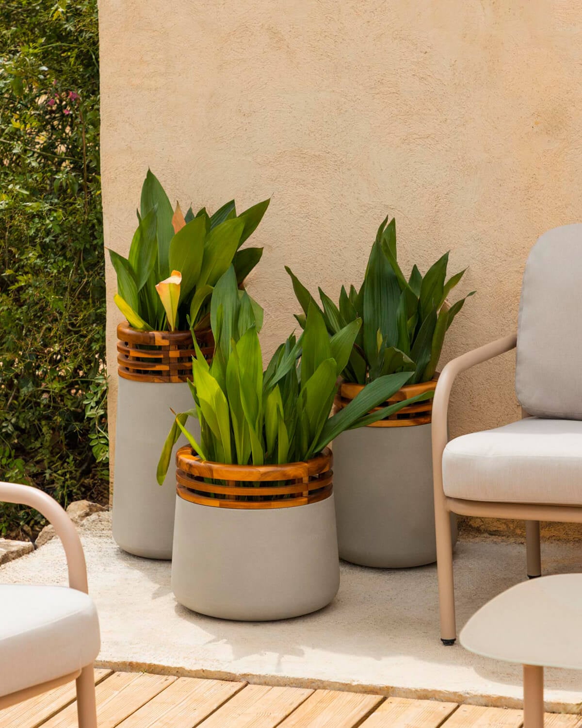 Hazan - Conjunto 3 Maceteros de Hormigón y Madera de Acacia Hazan