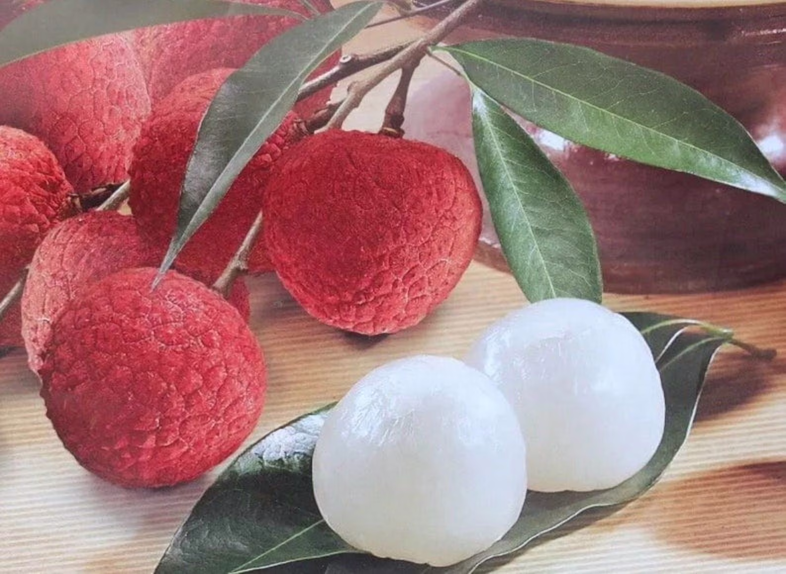 Sweetheart Lychee TREE Air Layered (3 - 4 Feet Tall). Ship to All States