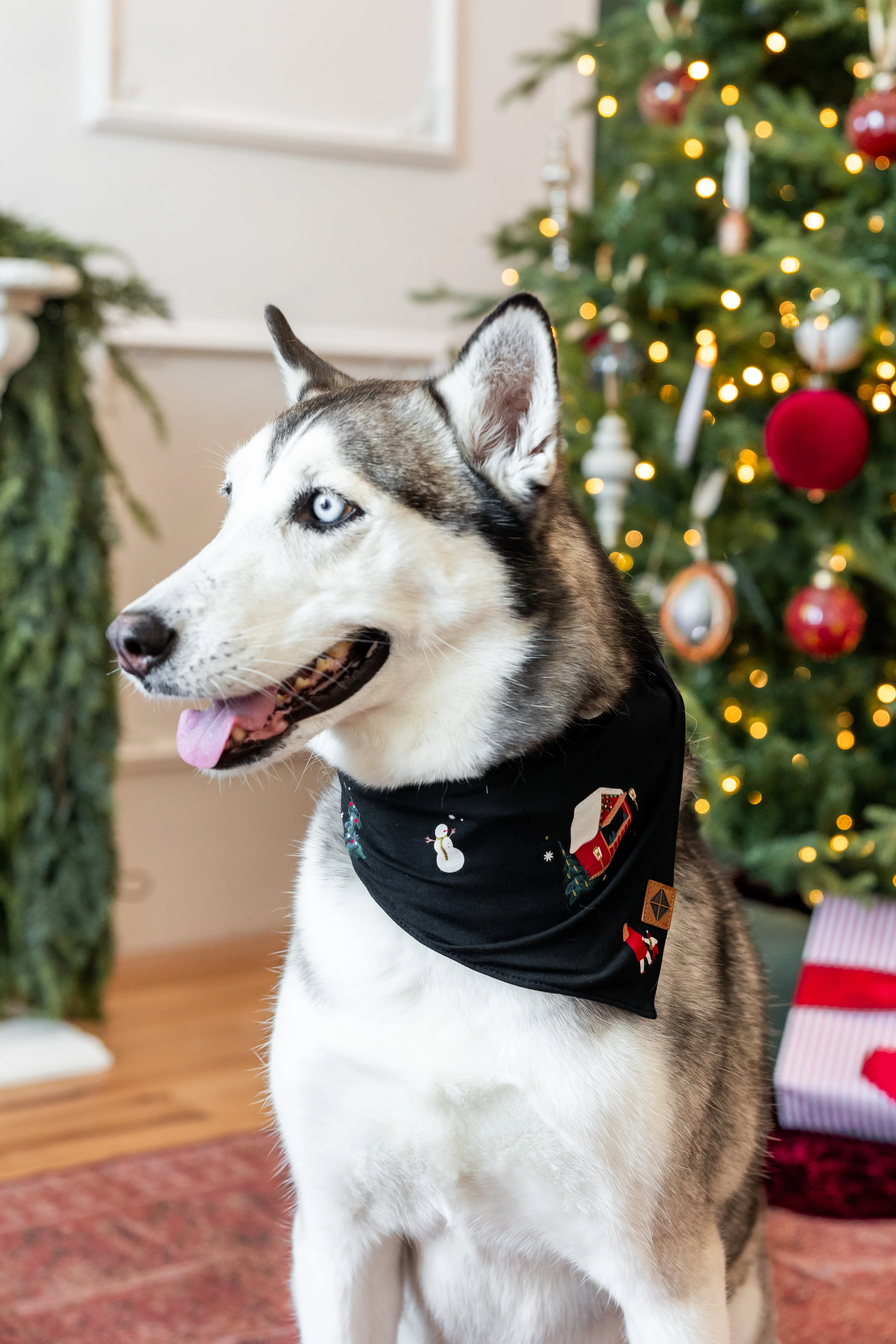 Dog Bandana in Winter Wonderland