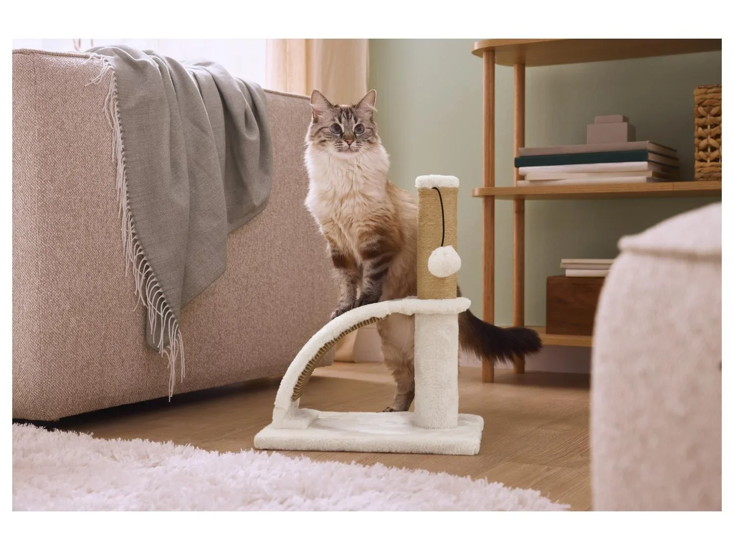 zoofari Griffoir avec planche ou brosse de massage