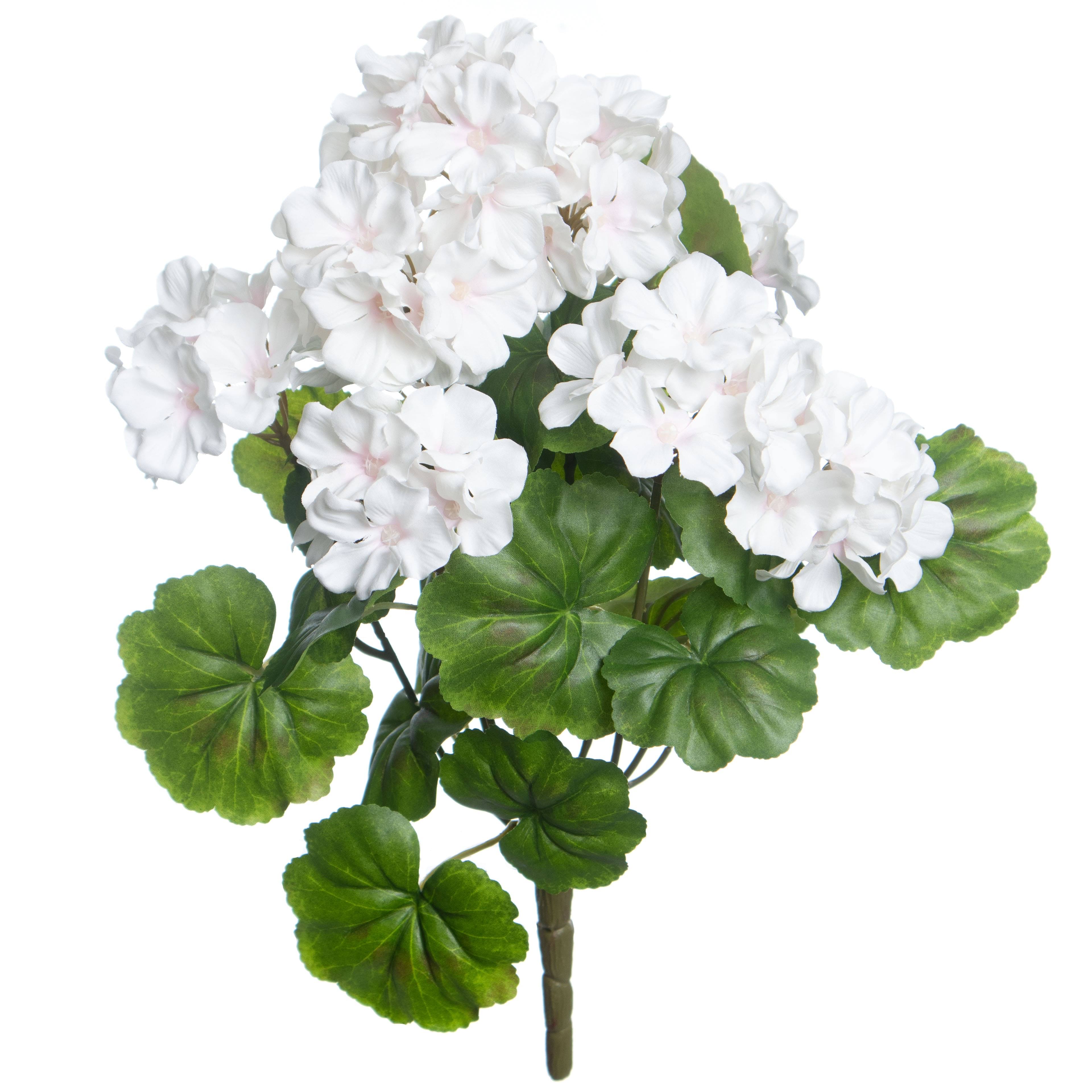 White & Pink Geranium Bush by Ashland | 17.5 | Michaels