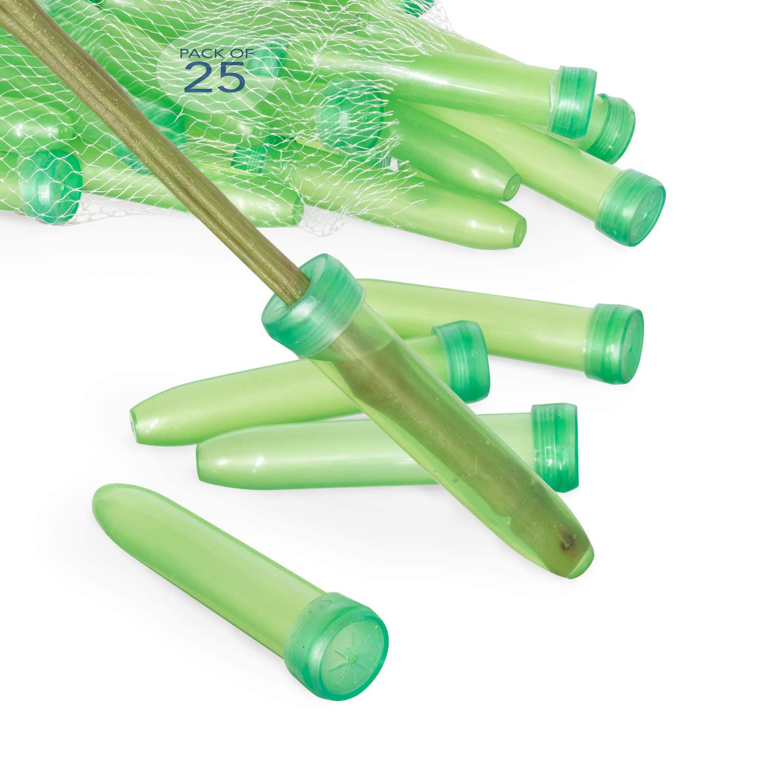 Royal Imports Floral Water Tubes/Vials for Flower Arrangements, Green 3